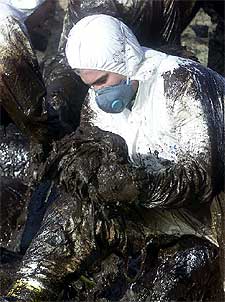 Labores de limpieza.