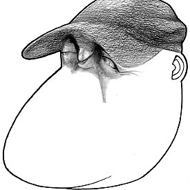 "Me siento más seleccionador"