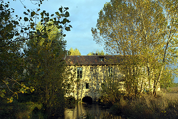 Mesas corridas para compartir con otros comensales y amplios horarios son dos características de La Paninoteca D'E.