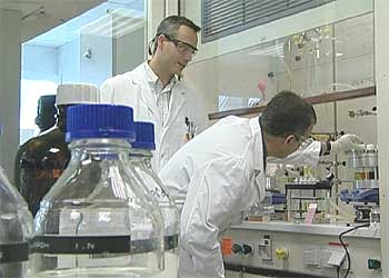 Laboratorio del nuevo centro para medicamentos de enfermedades en países en desarrollo en Tres Cantos (Madrid).