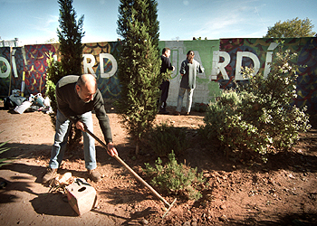 Transformar un solar baldío en otro 'Botànic'