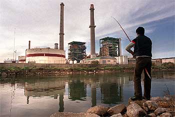 Los pescadores certifican que el río Besòs ha recuperado la vida