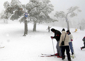 LOS ESQUIADORES 'TOMAN' NAVACERRADA.