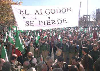 Los algodoneros protestan contra la reforma de las ayudas