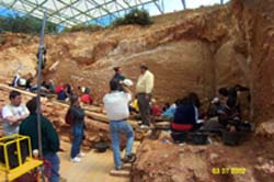 Beca Predoctoral para estudiar los Yacimientos de Atapuerca