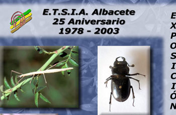 La Escuela de Agrónomos exhibe una interesante exposición de insectos con motivo de su 25 aniversario