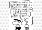 foto de la noticia