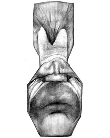 "Me gusta el buen fútbol aunque nunca lo practicase"