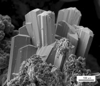 Una nueva especie mineral: calderonita