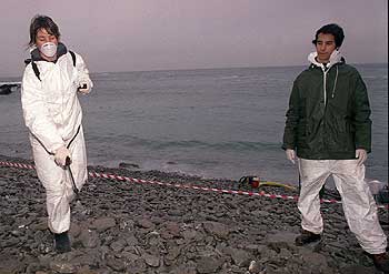 Dos técnicos rocían con microorganismos los cantos rodados de la playa afectados por el fuel.