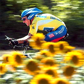 Lance Armstrong pedalea entre girasoles en el último Tour.