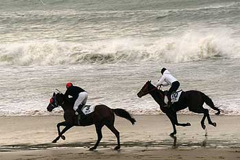 Galopando junto a las olas