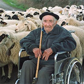 Pastor en tres siglos