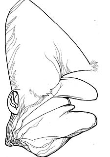 Ejemplo de la cultura militante