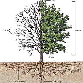 Ilustración del primer tomo de  La Enciclopedia. 