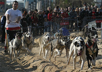 Inicio de la cuenta atrás de Pirena 2004