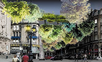  La forêt suspendue,  de Lucie Lom.