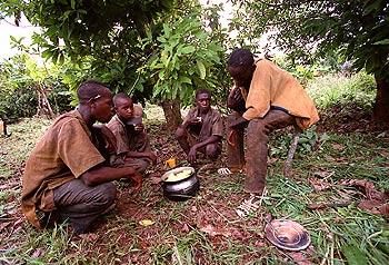 Jóvenes peones en Costa de Marfil.