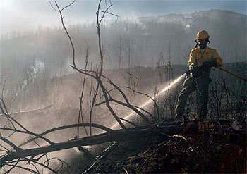 Un incendio afecta al parque natural de la Serra d'Espadà