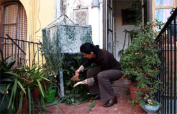 La caída de la artesa causó desperfectos en las macetas de la terraza, cuyos trozos la vecina de Gràcia recogía ayer por la tarde.