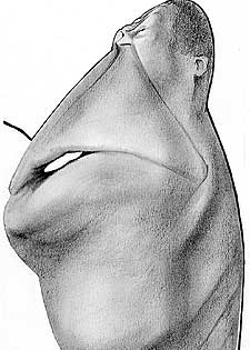 El sorprendente compañero de Kaká