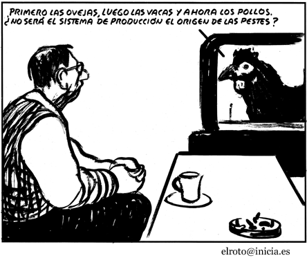 EL ROTO