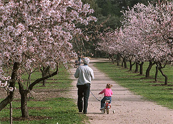 PRIMAVERA EN EL MES DE FEBRERO.