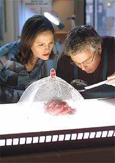 Jorja Fox y William Petersen, en el laboratorio de  CSI: Las Vegas 