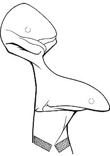 "En el fútbol a veces hay que callarse"