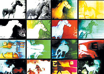 Fotograma de la película 'Berlin horse' (1970), de Malcolm LeGrice.