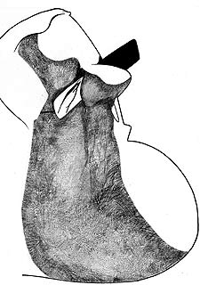 "Ser cuartos con un juego galáctico es una utopía"