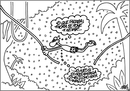 FORGES
