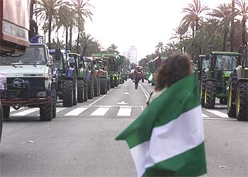 Tractores y cosechadoras, a la cabeza de la manifestación de los algodoneros, ayer en Sevilla.