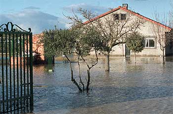 RIADA EN FUENTE EL SAZ.