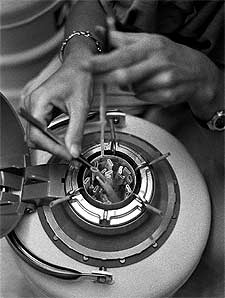 Contenedores de embriones en una clínica de fertilización.