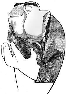 Fernando, querido Fernando