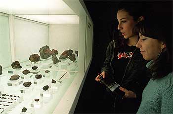 Joyas con 115 millones de años