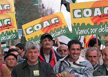 MANIFESTACIÓN DE OLIVAREROS EN MADRID.