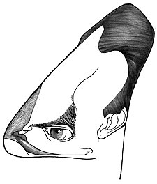 Un líder pragmático