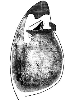 "No fue capaz de desligarse de Aznar en seis meses"