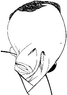 "No quiero dar una imagen de llorón"