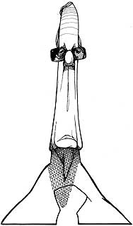 El pacificador del reino