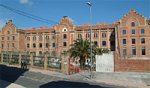 El Centro Universitario de Plasencia acoge la celebración del Día Forestal Mundial
