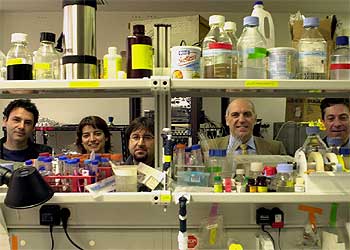 El equipo investigador de Barcelona encabezado por Miguel Valverde (segundo por la derecha).