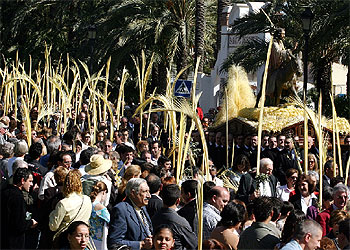 Las palmas blancas llenan las calles de Elche