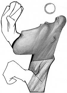 La montaña rusa de Dida