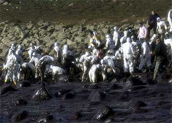 Unos voluntarios limpian el fuel vertido por el  Prestige  cerca del cabo Touriñán en diciembre de 2002.