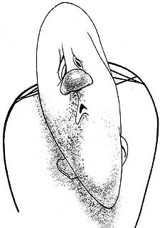 "No todo el mundo sirve para jugar en este equipo"