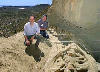 La ballena de la legión