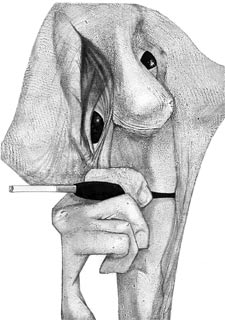 La apasionada sabiduría de María Zambrano